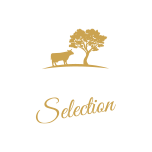 Querceta