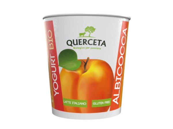 Yogurt biologico vari gusti - immagine 4