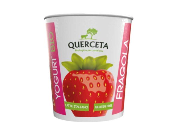 Yogurt biologico vari gusti