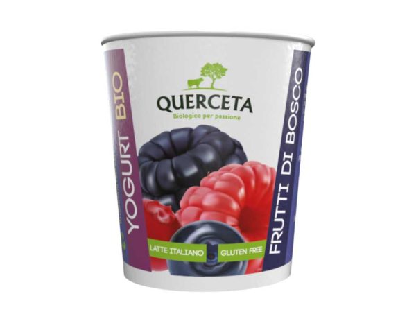 Yogurt biologico vari gusti - immagine 3